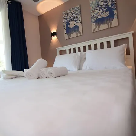 Ruhe アラカティ